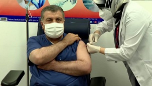 Sağlık Bakanı Koca, Türkiye'de yapılan aşı oranını açıkladı