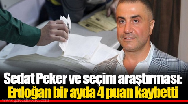 Sedat Peker ve seçim araştırması: Erdoğan bir ayda 4 puan kaybetti