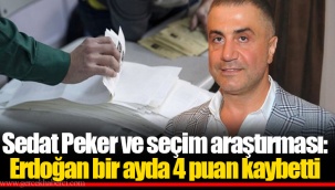 Sedat Peker ve seçim araştırması: Erdoğan bir ayda 4 puan kaybetti