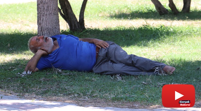 Sıcaktan fenalaşıp gölgede uyudu, vatandaşlar öldü sandı