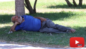 Sıcaktan fenalaşıp gölgede uyudu, vatandaşlar öldü sandı