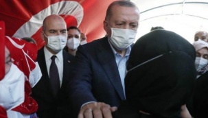 Soylu hakkında çarpıcı iddia: “Gizlice Diyarbakır’a gidip ‘Beni Erdoğan’a övün’ dedi…”