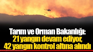 Tarım ve Orman Bakanlığı: 21 yangın devam ediyor, 42 yangın kontrol altına alındı