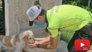 Trafik polisinden yüreklere dokunan hareket