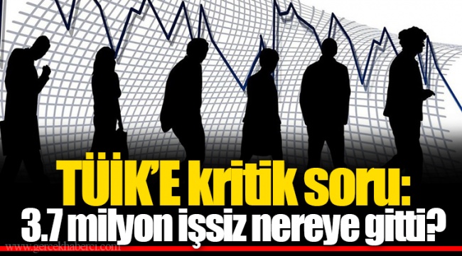 TÜİK’E kritik soru: 3.7 milyon işsiz nereye gitti?