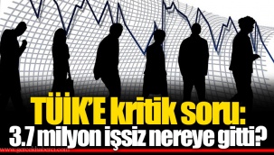 TÜİK’E kritik soru: 3.7 milyon işsiz nereye gitti?
