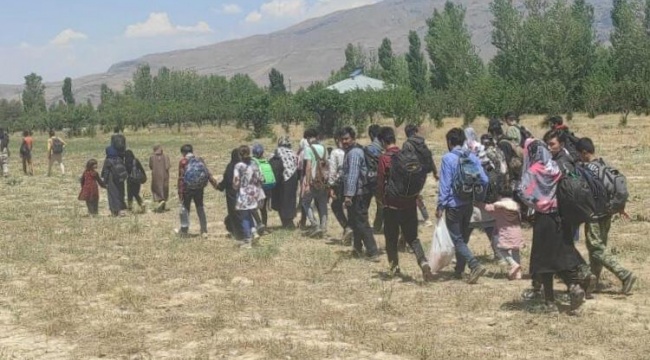 Van sınırından Türkiye'ye giren 80 Afgan yakalandı