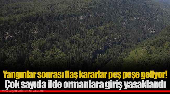 Yangınlar sonrası flaş kararlar peş peşe geliyor! Çok sayıda ilde ormanlara giriş yasaklandı