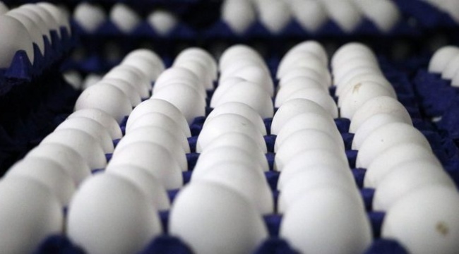 Yumurta üreticileri: 1 lira kazanayım derken 3 lira zarar ediyoruz