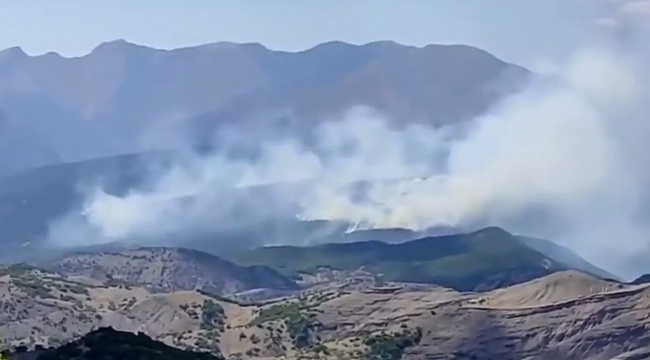 74 barodan, Tunceli’deki orman yangını için ortak açıklama: Havadan ve karadan müdahale edilmeli