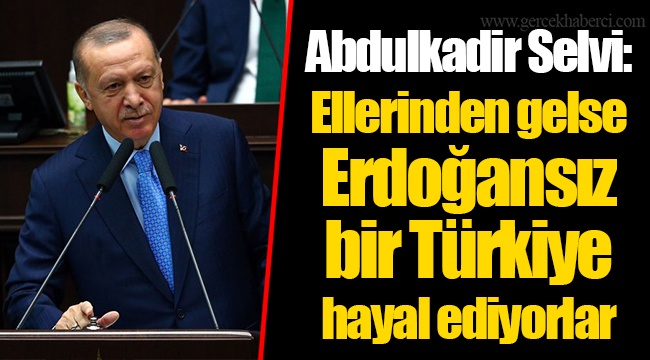 Abdulkadir Selvi: Ellerinden gelse Erdoğansız bir Türkiye hayal ediyorlar