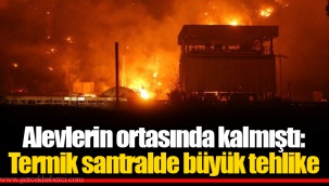Alevlerin ortasında kalmıştı: Termik santralde büyük tehlike