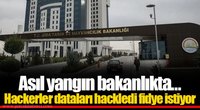 Asıl yangın bakanlıkta. Hackerler dataları hackledi fidye istiyor