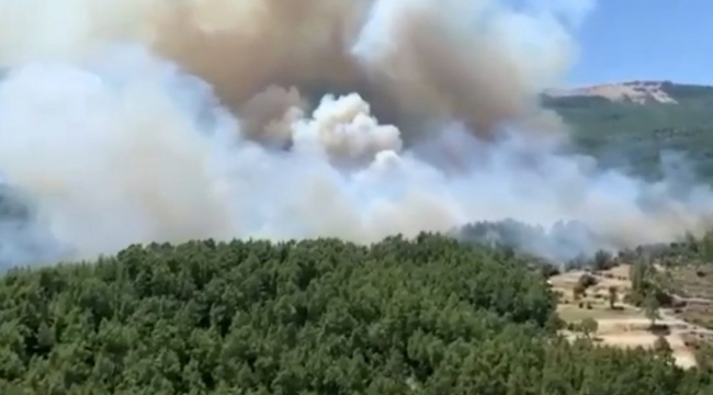 Bakan Pakdemirli: Bucak yangını tehlikeli, yanan evler, boşaltılan evler var