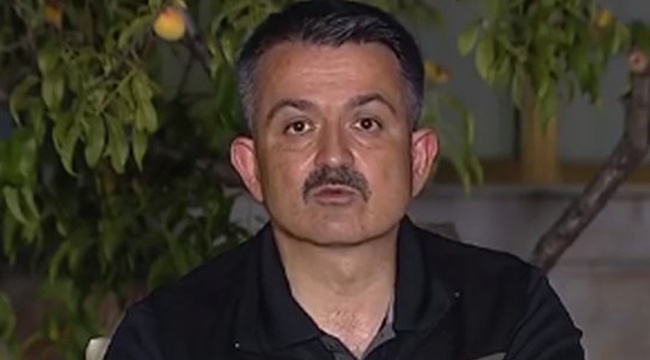 Bakan Pakdemirli: Köyceğiz'de yangın vadiye hapsolmuş şekilde devam ediyor ama kontrol altında diyemiyoruz