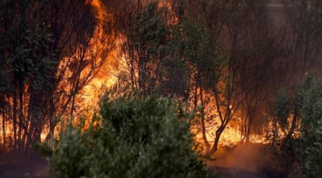 Bakan yardımcısından belediye başkanına skandal yanıt: &#039;Uçaklar geliyor ama siz göremiyorsunuz&#039;