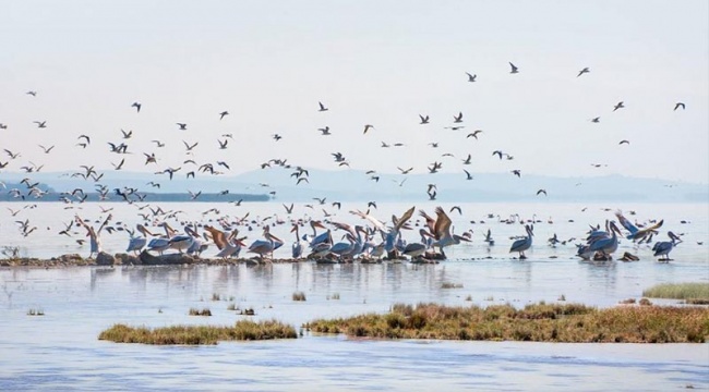 Balıkesir, Bolu ve Giresun&#039;da üç doğal sit alanı &quot;Kesin korunacak hassas alan&quot; olarak ilan edildi