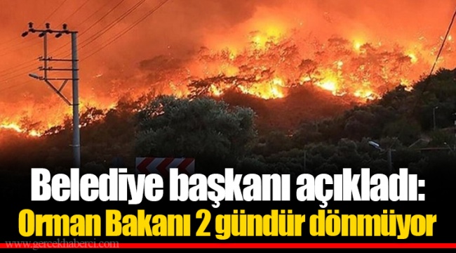 Belediye başkanı açıkladı: Orman Bakanı 2 gündür dönmüyor