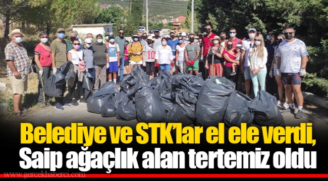 Belediye ve STK’lar el ele verdi, Saip ağaçlık alan tertemiz oldu