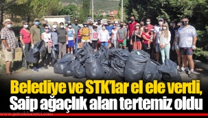 Belediye ve STK’lar el ele verdi, Saip ağaçlık alan tertemiz oldu
