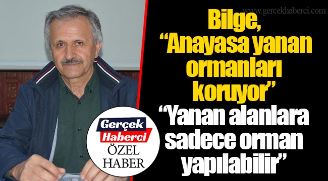 Bilge, “Anayasa yanan ormanları koruyor”