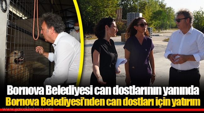 Bornova Belediyesi can dostlarının yanında