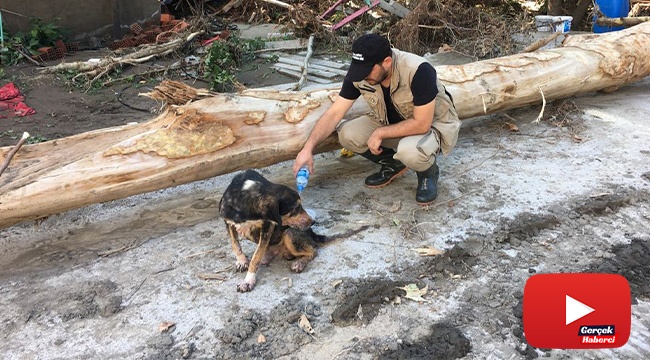 Bozkurt’ta yürekleri ısıtan görüntü