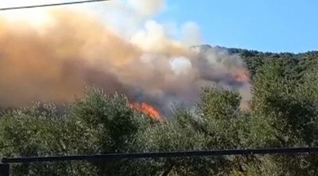 Bu kez de Mudanya’da orman yangını