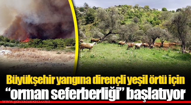Büyükşehir yangına dirençli yeşil örtü için “orman seferberliği” başlatıyor