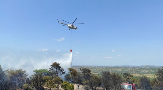 Çanakkale'de orman yangını: Tavaklı yine yanıyor