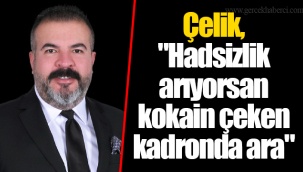 Çelik,