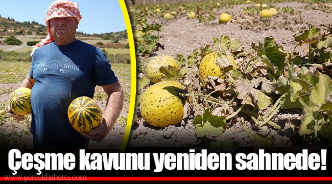 Çeşme kavunu yeniden sahnede!