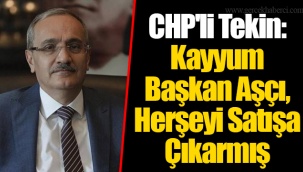 CHP'li Tekin: Kayyum Başkan Aşçı, Herşeyi Satışa Çıkarmış