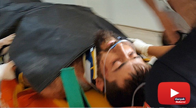 Dumandan kaçan ayı yangını söndürmeye çalışan orman gönüllüsüne saldırdı