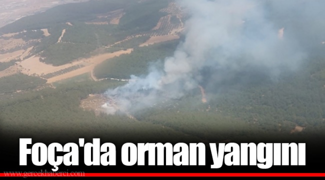 Foça'da orman yangını