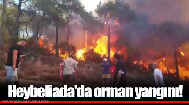 Heybeliada'da orman yangını!