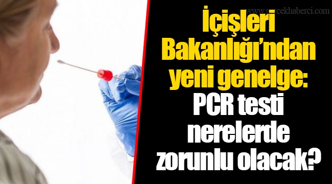 İçişleri Bakanlığı’ndan yeni genelge: PCR testi nerelerde zorunlu olacak?