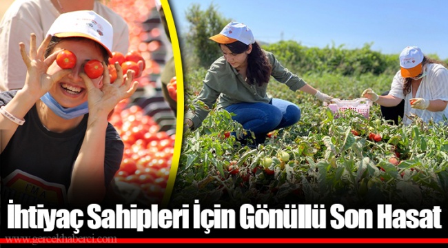 İhtiyaç Sahipleri İçin Gönüllü Son Hasat