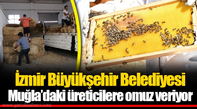 İzmir Büyükşehir Belediyesi Muğla’daki üreticilere omuz veriyor