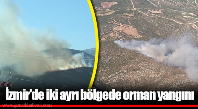 İzmir'de iki ayrı bölgede orman yangını