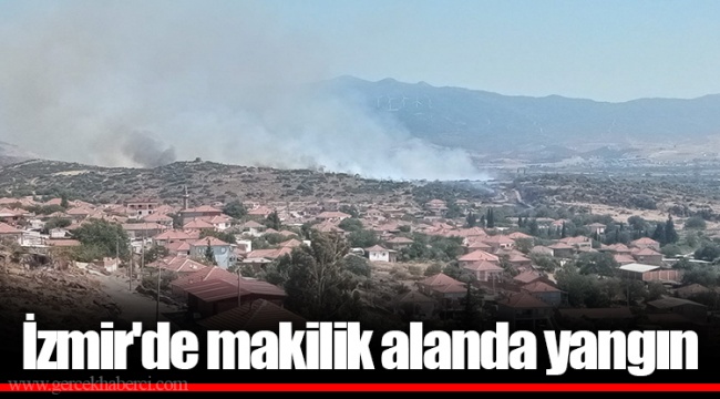 İzmir'de makilik alanda yangın