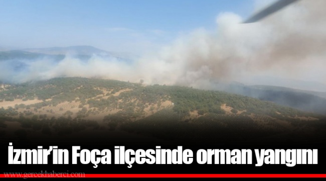 İzmir’in Foça ilçesinde orman yangını