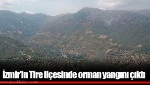 İzmir'in Tire ilçesinde orman yangını çıktı