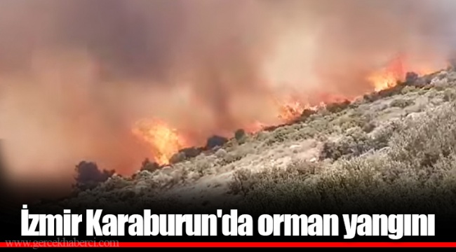 İzmir Karaburun'da orman yangını