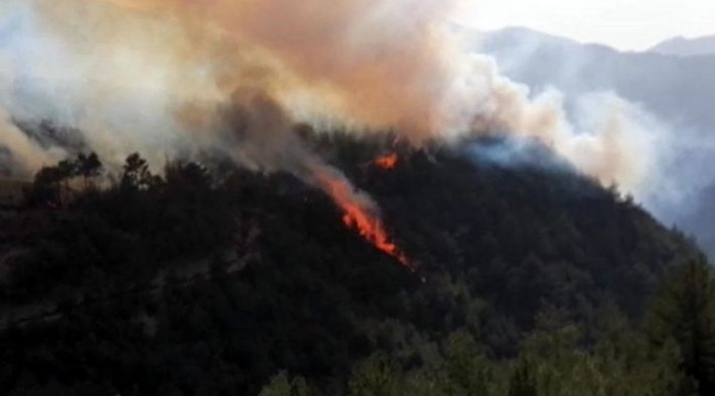 Karabük’te aynı alanda 2 orman yangını çıktı