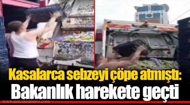 Kasalarca sebzeyi çöpe atmıştı: Bakanlık harekete geçti