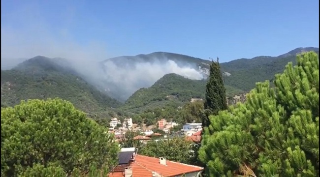 Kazdağları'nda orman yangını