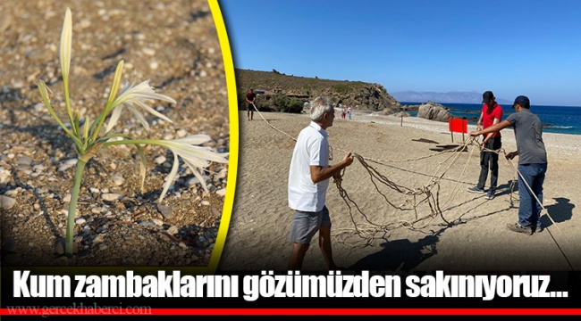 Kum zambaklarını gözümüzden sakınıyoruz…