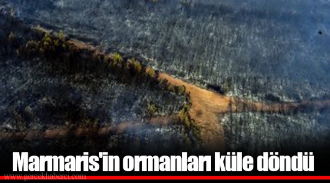 Marmaris'in ormanları küle döndü