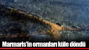 Marmaris'in ormanları küle döndü